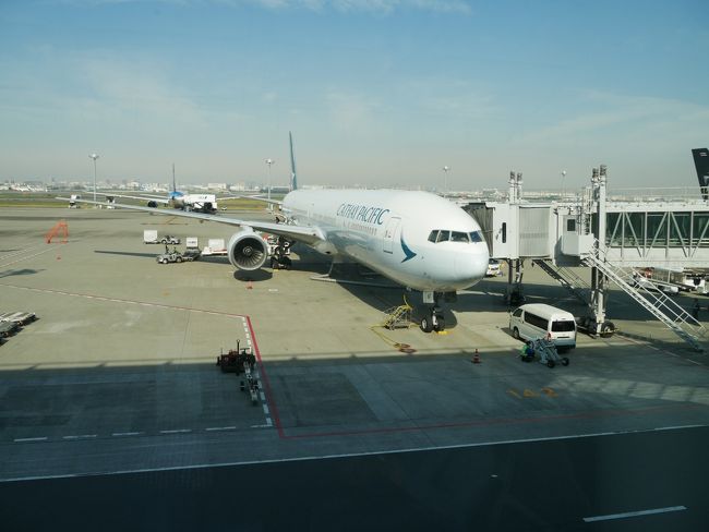 今日搭乗予定の飛行機です。