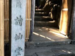 一乗寺下り松のバス停からコンビニの横の曼殊院道を登っていくと、曼殊院道と狸谷不動明王道が分岐する場所に「一乗寺下り松」があります

剣客宮本武蔵が吉岡一門数十人と決闘を行った伝説のある松です

ここから更に登っていくと詩仙堂の門が右側にあります