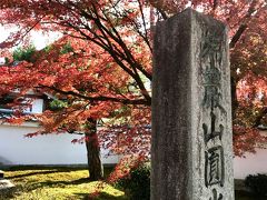 詩仙堂を跡にしたら、来た道を少し戻り、道標に沿って右に少し歩くと圓光寺があります

門から見ると庭とか見えないので、たいしたとこないな、と思って入らない人もありますが、坂を登ってからが凄くいいお寺です