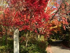 登りきったら曼殊院への参道に入ります