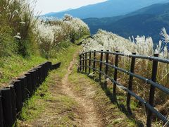 大野山・県営育成牧場コース