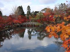 「放生池」
大勢の人たちに飲まれながらの一枚…写真におさめるのも一苦労。
