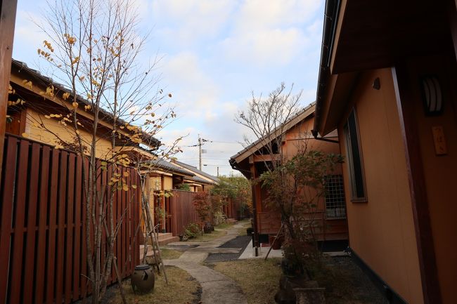 ぐっすり休みました。今日もいい天気です。