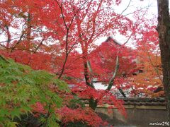 一休寺　駐車場から参道への入り口付近の紅葉