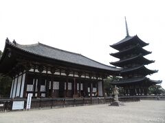 興福寺　東金堂（国宝）

神亀３年（726）に聖武天皇が叔母元正太上天皇の病気全快を願って建てたもの。
 創建当初は床に緑色のタイルが敷かれ、薬師如来の浄瑠璃光世界がこの世にあらわされていたそうです。
以来６度の被災、再建を繰り返し、今の建物は応永22年（1415）に再建。
正面７間、側面４間、寄棟造り、本瓦（ほんがわら）葺きの建物。
堂内には本尊薬師如来像、日光・月光菩薩像、文殊菩薩像と維摩居士（ゆいまこじ）像、四天王像、十二神将像が安置されています。