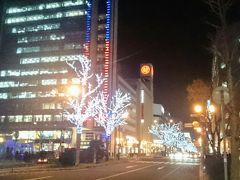駅前通りを渡って4丁目に向かいます。
「札幌駅前通」も会場の1つで、街路樹が銀色に輝いています。
こちらは来年の2月11日(雪まつり終了)まで続きます。
近くのビルの温度計は14℃
今日はとても暖かい日で良かった♪