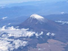 富士山が綺麗に見えました。
