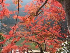 嵐山公園（亀山地区）　桂川沿いの紅葉

混雑を避けるため、桂川に沿って嵐山公園へ。