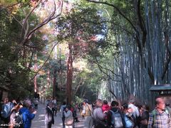 大河内山荘前の竹林

凄い人が集まっています。