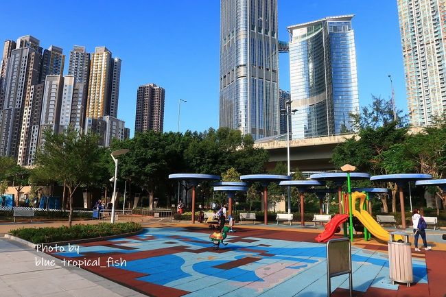 子供の遊び場。