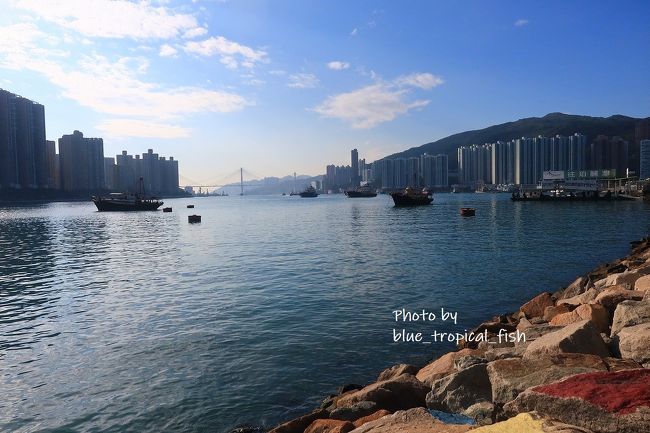 ランブラー海峡をはさんで、対岸が青衣。写真だと左にちょこっと見えているのが青衣です。