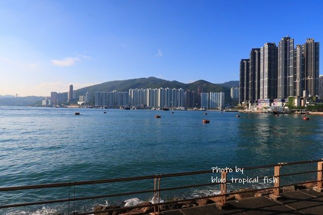 お天気がいいです。