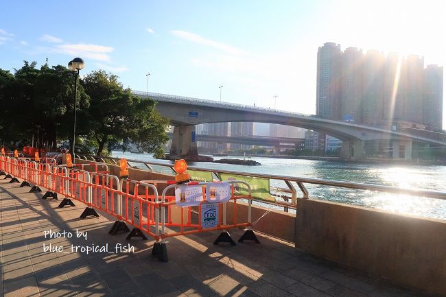 橋が見えてきました。