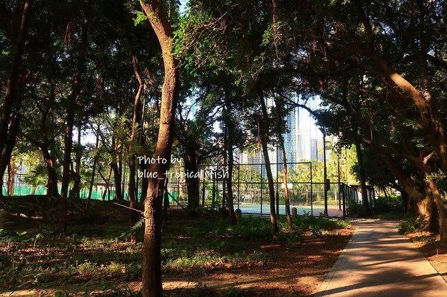 公園から出ます。蚊にさされたらいやなので急いで歩きました。