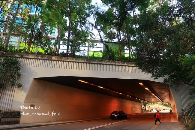 橋の袂まで来ました。<br /><br />手前から登っていくと、青衣を進行方向として橋の右側を歩くことになります。でもそちらは前回歩いたので、左側に行きます。ガードレールをくぐって、