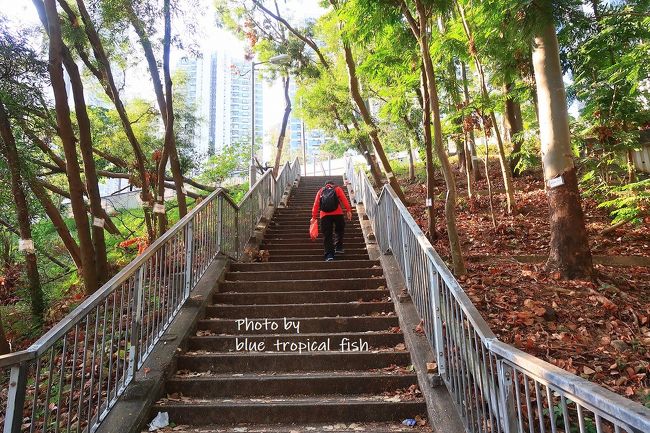 橋の左側の階段をのぼりました。