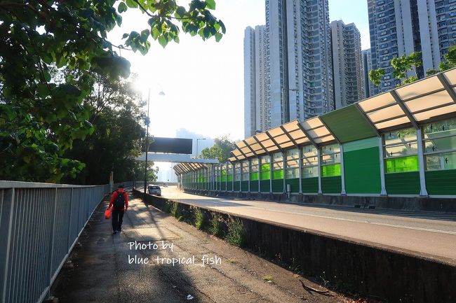 そうするとこの風景。