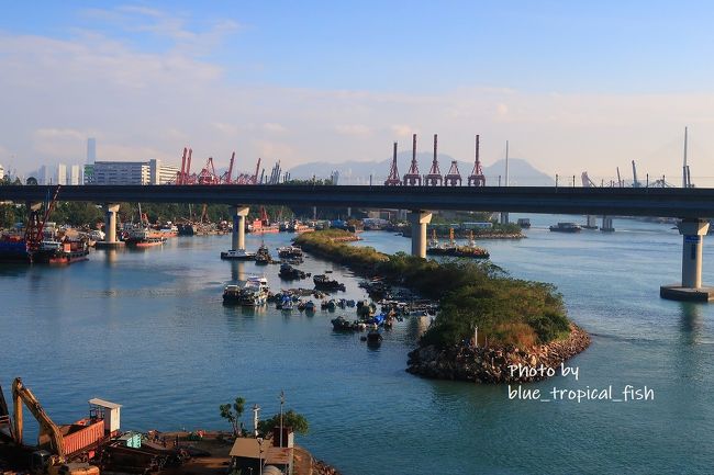 見えている橋みたいなのはMTRが通るところです。<br /><br />MTRから見えるこの避風港みたいなところ（船がいっぱいとまっているところ）が気になってたんです。