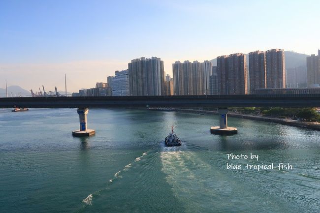 いつもはMTRから見る景色の中にいるのがちょっと不思議。