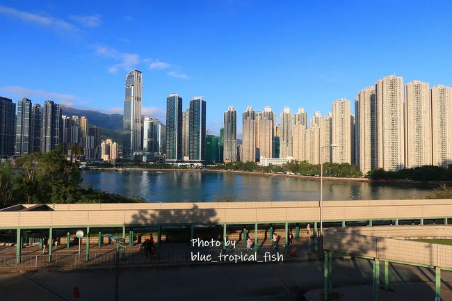 青衣城第二期には景色が眺められる平台花園と天台花園があります。<br /><br />まずは平台花園に行きました。見えているのは荃灣です。近いですよね。