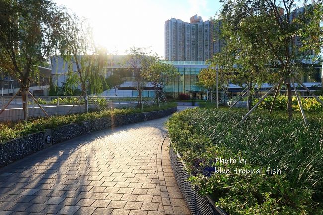 〇　平台花園<br /><br />癒し空間です。