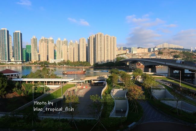 さらに上に上がって天台花園に行きました。