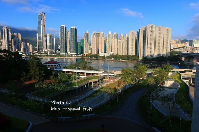 こちらも景色いいです。