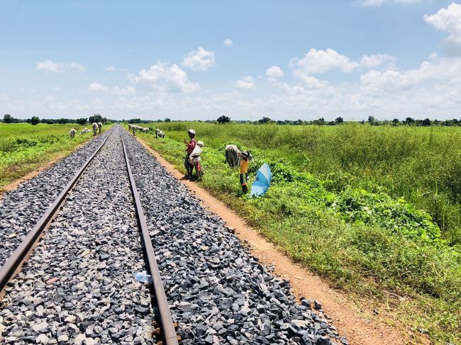 天気も素晴らしく、<br />カンボジア独特の緑の平原が広がって、美しいコントラストが絶景です。
