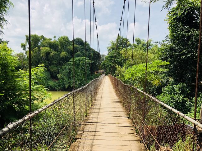 【4日目・最終日】<br />夕方のバスまでの時間、午前中には近くの吊り橋まで徘徊。<br />