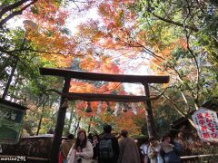 野宮神社　黒木鳥居

相変わらずの凄い人でした。