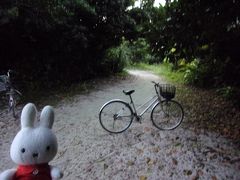 自転車数台が停まっているのでここのよう。
アイヤル浜に到着です。
ここに自転車を停めてすぐに…、