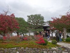 電車とバスを乗り継いで向かった先は、圓光寺です。