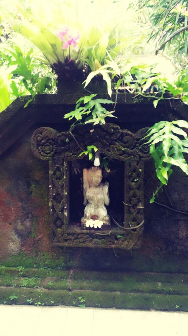 門扉の真正面には壁とオブジェがあります。<br /><br />これってバリヒンズー教の習わしで、家に悪い物 魔物が入って来ないように、門扉の真正面に壁を作っているんですよね。<br /><br />セクシーグラマーな石像のオブジェ。<br /><br />なにかの女神なのかな??<br /><br />聞くの忘れちゃったな( ˊᵕˋ ;)<br /><br />