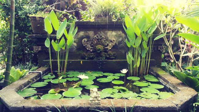 中へ入ると素敵なガーデンが広がってます🌿🌿🌿<br /><br />ガーデンでカフェも営んでいて、3卓のテーブル席がありました。<br /><br />客室は4室しかないAccommodation。<br /><br />敷地内にオーナーさんのご自宅もあり、そこからにこやかに現れたのが、ご主人の Agung さん。<br /><br />Agungさんは挨拶や少しだけ日本語を話しますが、とても英語が堪能です。<br /><br />スーツケースを持ってくれた若き青年スタッフは Madeくん。<br /><br />2人に案内され私の部屋へ向かいます。