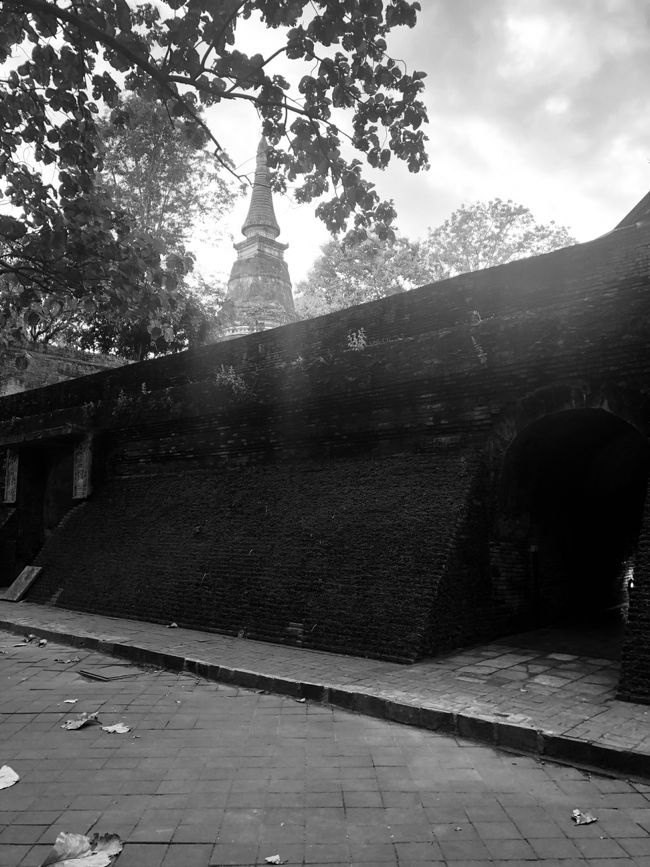 モノクロにすると、皿に雰囲気が出る！！