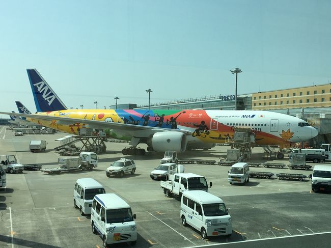 まずはセントレアから羽田へ。<br />今回はANAのマイルを使って搭乗しました。<br />仕事の関係で平日休みです。<br />数ヶ月前に決断して、特典航空券で行けました。エコノミーですけど。<br /><br />セントレア→羽田は、毎度のことなので不安はなかったです。<br />昨年ロンドンへ行った時も同じでしたので、キョロキョロせずスムーズに。<br />でもやはり一人なので不安は少しありましたけど・・・。