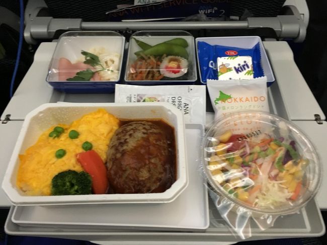 行きの機内食は、洋食を選びました。<br />ハンバーグでした（確か）。<br />大好きなkiriのチーズもあって嬉しかったです。<br /><br />私は胃が弱いので、完食はせず、残してしまいましたが、すべておいしかったです！！！<br /><br />ひとりの時は、黙々と食べるしかないので、ちょっと寂しかったです・・・・。