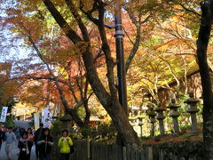 午前11時前、談山（たんざん）神社に着きました。

駐車場でバスを降り、神社へ歩いて向かいます。

「途中誘惑がたくさんありますが、入口までは団体で行きます。寄り道は帰りにしてください」と添乗員さん。

歩き始めると、添乗員さんが「誘惑がたくさん」と言う意味がわかりました。
途中、食べ物やお土産を売るお店がいっぱいあるんです。

すれ違う人がみんな、串に刺した大きな里芋みたいなものをふーふー湯気を立てながら食べてます。
なんだろう？美味しそう～♪
よし、帰りにあれを買って食べよう、と心に決めました。