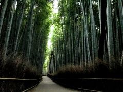 夜が明けて
沢山のカメラマンがこち側に
皆さん考えることは同じ。
ただ、このチャンスは続かず
数分で観光のかたが着て思う絵は
撮れなくなりました。