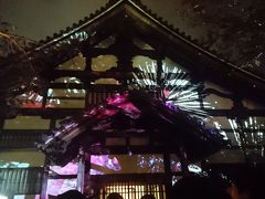 高台寺に行きました。
このとき行ったときは夜だったので、
建物にプロジェクションマッピングが投影されていました。