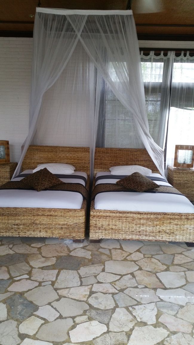 1人なのにツインベッドｗｗｗ<br /><br />それには訳があるんです…聞いてください…ꉂꉂ"̮˖笑"̮˖<br /><br />Puri Cantik の4部屋ある客室の中で、室内にソファーがあるのここの部屋だけなんですよ。<br /><br />後の3部屋は外のテラスのみにソファーなんですね。<br /><br />Ubudiは寛ぎスペースが室内にある、お部屋が良かったので、外のテラスではあまり寛ぐ予定はなかったので。<br /><br />そういうことでツインベッドのお部屋になったという訳です。<br /><br />勿論、片方のベッドしか使いませんでしたよｗｗｗ