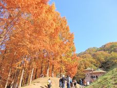 トーベ ヤンソンあけぼの子どもの森公園