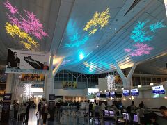 0日目です。

金沢駅から北陸新幹線一路東京へ。小松空港からANAの羽田行きの最終便もいいのですが、新幹線利用の方が金沢出発時間が遅いです。ギリギリまで仕事をして北陸新幹線に飛び乗ります。

羽田空港は3連休の中日でしたが、割と空いています。天井にはプロジェクションマッピングが。チェックインしながら見入ってしまいました。