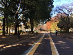 公園東口から公園に入りました。
駒沢オリンピック公園に来るのは初めてです。
「駒沢大学」駅から約２０分掛かります。
平日の９：３０頃ですが、ジョガーやウォーカー、サイクリストなどが大勢で驚き。