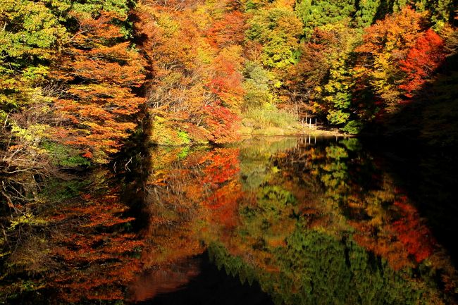 山紫水明 錦織り成す滑川砂防ダム湖 西白河 岩瀬 福島県 の旅行記 ブログ By J Ryuさん フォートラベル 山紫水明 錦織り成す滑川砂防ダム湖 西白河 岩瀬 福島県 の旅行記 ブログ By J Ryuさん フォートラベル