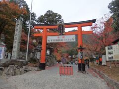 さてさて、だいぶ寄り道をしてしまい15時近くになってから日吉大社の境内へ。