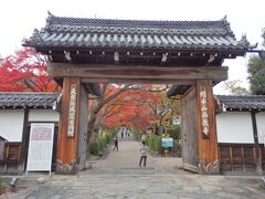 せっかくなので西教寺も訪ねることに。
ここも紅葉の名所ということで、期待しつつ東本宮からてくてく15分くらい歩いて向かいました。