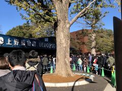 11月23日（金・祝）

8：00頃チェックアウトして上野に移動。
ホテルに荷物預けて動物園へ。
チケット買うのにすごい行列が。
事前にチケット入手してくれてたYツーリストさん（※同行者）、
GJです。
