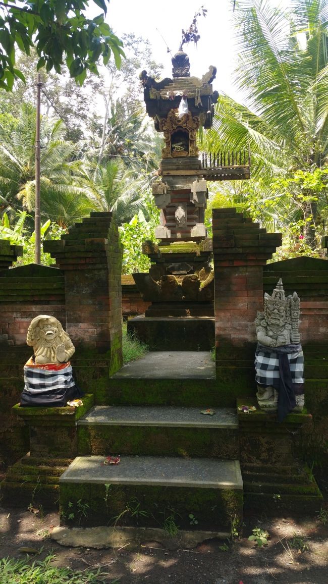 外の椅子がある所が日陰で気持ちいい風が吹いてて、ボーッと田んぼを眺めて長閑だなあ~癒されるなあ~とマッタリ...<br /><br />数歩行った先に工房の家寺があって、大きい立派な家寺だけど、枯れたチャナンがいっぱいあったｗｗｗ<br /><br />チャナンって供えるまでが大切であって、供えたら枯れても踏んづけちゃっても構わないんだって!!!<br /><br />供えたチャナンには何も宿ってないから意味がないものになるらしいよ??<br /><br />神様へのお供えだから踏んだらいけないと思っていたけど…違ってたꉂꉂ"̮˖笑"̮˖