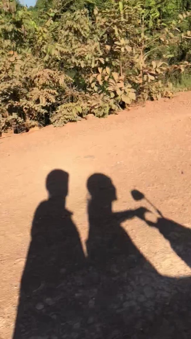 オットを乗せて、走る走る。